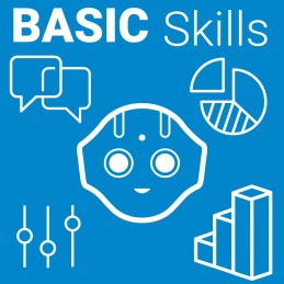 PEPPER - Basic Skills 2.0